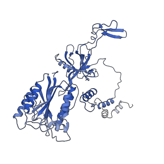 25439_7su3_B_v1-1
CryoEM structure of DNA-PK complex VII