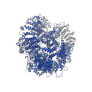 25440_7sud_A_v1-1
CryoEM structure of DNA-PK complex VIII