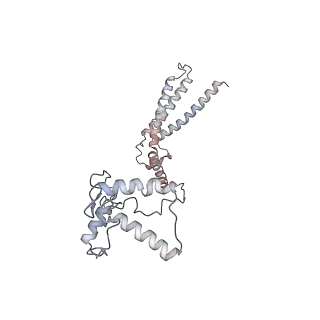 25441_7suk_6_v1-1
Structure of Bfr2-Lcp5 Complex Observed in the Small Subunit Processome Isolated from R2TP-depleted Yeast Cells