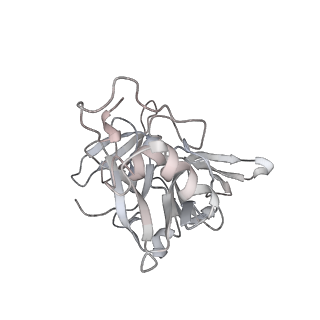 25441_7suk_L4_v1-1
Structure of Bfr2-Lcp5 Complex Observed in the Small Subunit Processome Isolated from R2TP-depleted Yeast Cells