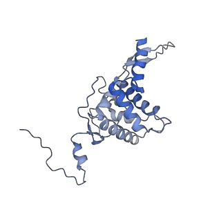 25441_7suk_L5_v1-1
Structure of Bfr2-Lcp5 Complex Observed in the Small Subunit Processome Isolated from R2TP-depleted Yeast Cells