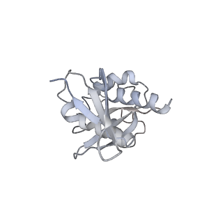 25441_7suk_L7_v1-1
Structure of Bfr2-Lcp5 Complex Observed in the Small Subunit Processome Isolated from R2TP-depleted Yeast Cells