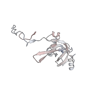 25441_7suk_L8_v1-1
Structure of Bfr2-Lcp5 Complex Observed in the Small Subunit Processome Isolated from R2TP-depleted Yeast Cells