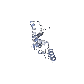 25441_7suk_L9_v1-1
Structure of Bfr2-Lcp5 Complex Observed in the Small Subunit Processome Isolated from R2TP-depleted Yeast Cells