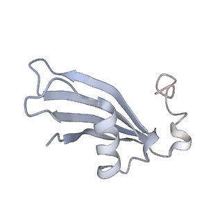 25441_7suk_LF_v1-1
Structure of Bfr2-Lcp5 Complex Observed in the Small Subunit Processome Isolated from R2TP-depleted Yeast Cells