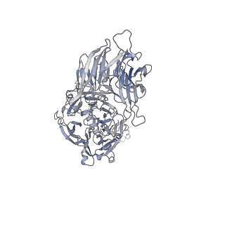 25441_7suk_LH_v1-1
Structure of Bfr2-Lcp5 Complex Observed in the Small Subunit Processome Isolated from R2TP-depleted Yeast Cells