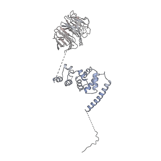 25441_7suk_LI_v1-1
Structure of Bfr2-Lcp5 Complex Observed in the Small Subunit Processome Isolated from R2TP-depleted Yeast Cells