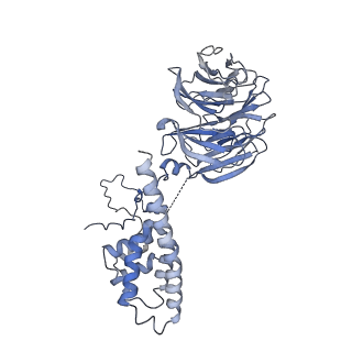 25441_7suk_LJ_v1-1
Structure of Bfr2-Lcp5 Complex Observed in the Small Subunit Processome Isolated from R2TP-depleted Yeast Cells
