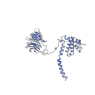 25441_7suk_LL_v1-1
Structure of Bfr2-Lcp5 Complex Observed in the Small Subunit Processome Isolated from R2TP-depleted Yeast Cells
