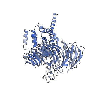 25441_7suk_LO_v1-1
Structure of Bfr2-Lcp5 Complex Observed in the Small Subunit Processome Isolated from R2TP-depleted Yeast Cells