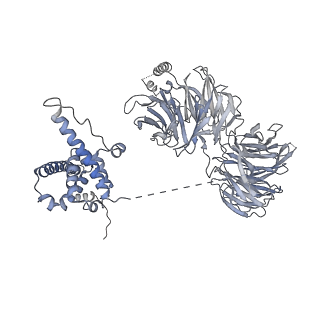 25441_7suk_LQ_v1-1
Structure of Bfr2-Lcp5 Complex Observed in the Small Subunit Processome Isolated from R2TP-depleted Yeast Cells
