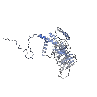 25441_7suk_LU_v1-1
Structure of Bfr2-Lcp5 Complex Observed in the Small Subunit Processome Isolated from R2TP-depleted Yeast Cells