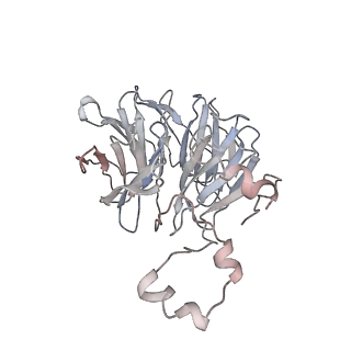 25441_7suk_LV_v1-1
Structure of Bfr2-Lcp5 Complex Observed in the Small Subunit Processome Isolated from R2TP-depleted Yeast Cells
