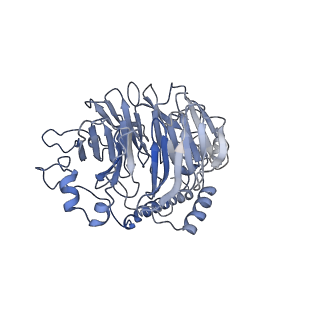 25441_7suk_LW_v1-1
Structure of Bfr2-Lcp5 Complex Observed in the Small Subunit Processome Isolated from R2TP-depleted Yeast Cells
