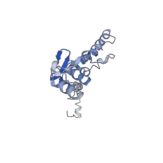 25441_7suk_LZ_v1-1
Structure of Bfr2-Lcp5 Complex Observed in the Small Subunit Processome Isolated from R2TP-depleted Yeast Cells