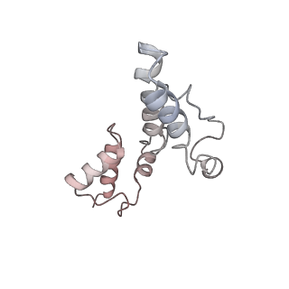 25441_7suk_NF_v1-1
Structure of Bfr2-Lcp5 Complex Observed in the Small Subunit Processome Isolated from R2TP-depleted Yeast Cells