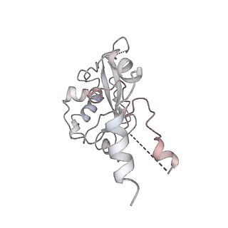 25441_7suk_NI_v1-1
Structure of Bfr2-Lcp5 Complex Observed in the Small Subunit Processome Isolated from R2TP-depleted Yeast Cells