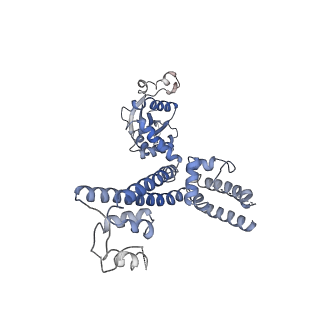 25441_7suk_SA_v1-1
Structure of Bfr2-Lcp5 Complex Observed in the Small Subunit Processome Isolated from R2TP-depleted Yeast Cells