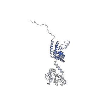 25441_7suk_SB_v1-1
Structure of Bfr2-Lcp5 Complex Observed in the Small Subunit Processome Isolated from R2TP-depleted Yeast Cells