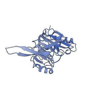 25441_7suk_SC_v1-1
Structure of Bfr2-Lcp5 Complex Observed in the Small Subunit Processome Isolated from R2TP-depleted Yeast Cells