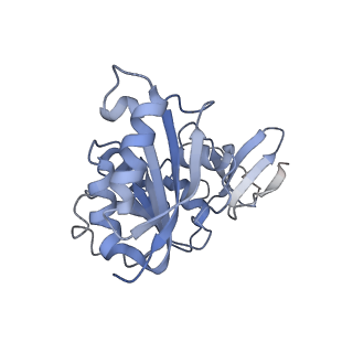 25441_7suk_SD_v1-1
Structure of Bfr2-Lcp5 Complex Observed in the Small Subunit Processome Isolated from R2TP-depleted Yeast Cells