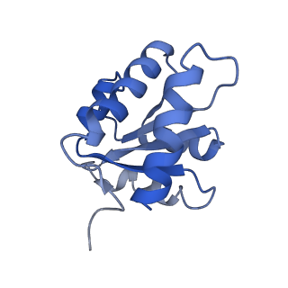 25441_7suk_SE_v1-1
Structure of Bfr2-Lcp5 Complex Observed in the Small Subunit Processome Isolated from R2TP-depleted Yeast Cells