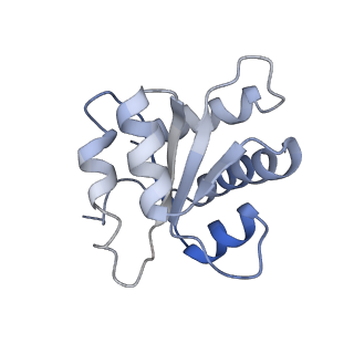 25441_7suk_SF_v1-1
Structure of Bfr2-Lcp5 Complex Observed in the Small Subunit Processome Isolated from R2TP-depleted Yeast Cells