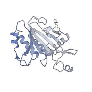 25441_7suk_SJ_v1-1
Structure of Bfr2-Lcp5 Complex Observed in the Small Subunit Processome Isolated from R2TP-depleted Yeast Cells