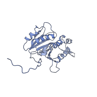 25441_7suk_SK_v1-1
Structure of Bfr2-Lcp5 Complex Observed in the Small Subunit Processome Isolated from R2TP-depleted Yeast Cells