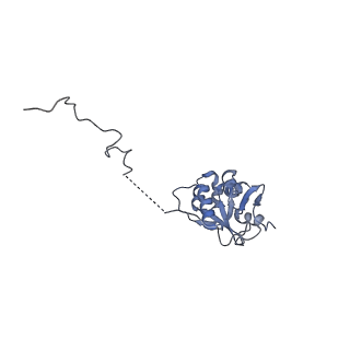25441_7suk_SL_v1-1
Structure of Bfr2-Lcp5 Complex Observed in the Small Subunit Processome Isolated from R2TP-depleted Yeast Cells