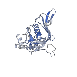 25441_7suk_SM_v1-1
Structure of Bfr2-Lcp5 Complex Observed in the Small Subunit Processome Isolated from R2TP-depleted Yeast Cells