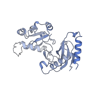 25441_7suk_SN_v1-1
Structure of Bfr2-Lcp5 Complex Observed in the Small Subunit Processome Isolated from R2TP-depleted Yeast Cells