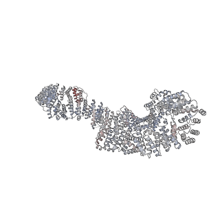 25441_7suk_SP_v1-1
Structure of Bfr2-Lcp5 Complex Observed in the Small Subunit Processome Isolated from R2TP-depleted Yeast Cells