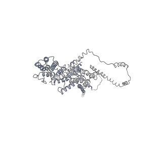 25441_7suk_ST_v1-1
Structure of Bfr2-Lcp5 Complex Observed in the Small Subunit Processome Isolated from R2TP-depleted Yeast Cells