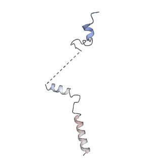 25441_7suk_SV_v1-1
Structure of Bfr2-Lcp5 Complex Observed in the Small Subunit Processome Isolated from R2TP-depleted Yeast Cells