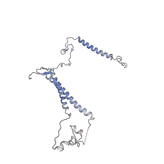 25441_7suk_SY_v1-1
Structure of Bfr2-Lcp5 Complex Observed in the Small Subunit Processome Isolated from R2TP-depleted Yeast Cells