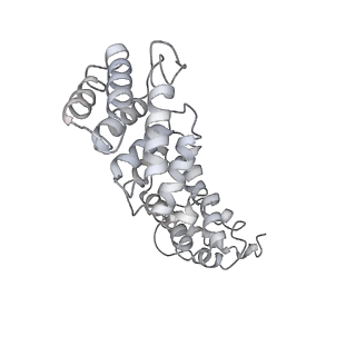 25441_7suk_SZ_v1-1
Structure of Bfr2-Lcp5 Complex Observed in the Small Subunit Processome Isolated from R2TP-depleted Yeast Cells