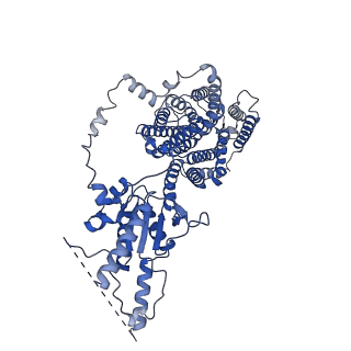 25442_7sun_B_v1-2
Atomic model of prestin from gerbil (Meriones unguiculatus)