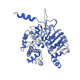 40762_8su9_A_v1-0
E. coli SIR2-HerA complex (hexamer HerA bound with dodecamer Sir2)