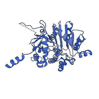 40762_8su9_C_v1-0
E. coli SIR2-HerA complex (hexamer HerA bound with dodecamer Sir2)