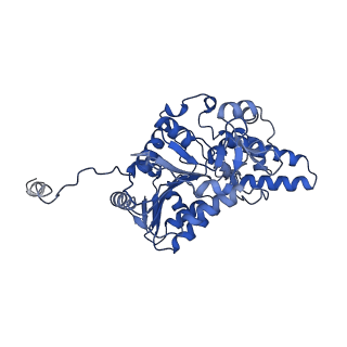 40762_8su9_F_v1-0
E. coli SIR2-HerA complex (hexamer HerA bound with dodecamer Sir2)