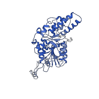 40762_8su9_H_v1-0
E. coli SIR2-HerA complex (hexamer HerA bound with dodecamer Sir2)