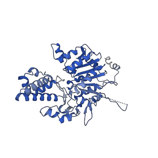 40762_8su9_L_v1-0
E. coli SIR2-HerA complex (hexamer HerA bound with dodecamer Sir2)