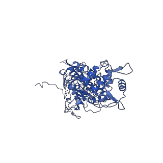 40762_8su9_N_v1-0
E. coli SIR2-HerA complex (hexamer HerA bound with dodecamer Sir2)