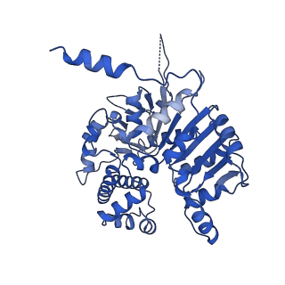 40763_8sub_A_v1-0
E. coli SIR2-HerA complex (dodecamer SIR2 pentamer HerA)