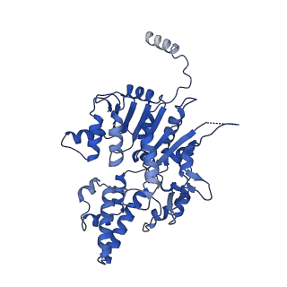 40763_8sub_B_v1-0
E. coli SIR2-HerA complex (dodecamer SIR2 pentamer HerA)