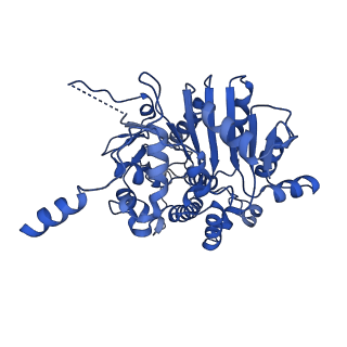 40763_8sub_C_v1-1
E. coli SIR2-HerA complex (dodecamer SIR2 pentamer HerA)