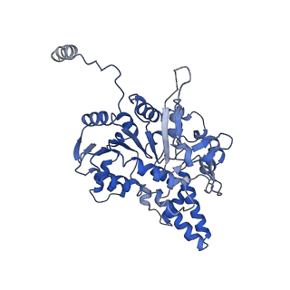 40763_8sub_D_v1-0
E. coli SIR2-HerA complex (dodecamer SIR2 pentamer HerA)