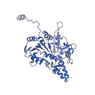 40763_8sub_D_v1-1
E. coli SIR2-HerA complex (dodecamer SIR2 pentamer HerA)