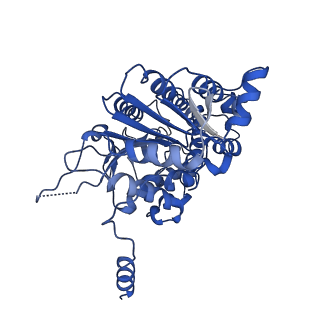 40763_8sub_E_v1-0
E. coli SIR2-HerA complex (dodecamer SIR2 pentamer HerA)